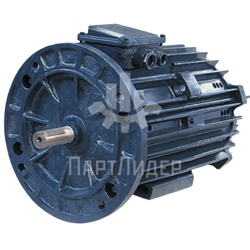 Электродвигатель 5АМ280S4EУ3 110 1500 IM1001