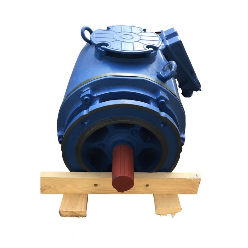 Электродвигатель 5АФ200МА6 24НЛБУХЛ4 (6.5-1.6кВт) 1000-250об/мин FF300 IM3002 2 вала